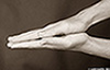 both_hands_0940_sepia_web.jpg