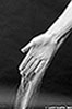 hand_water_1038_BW_web.jpg