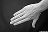 right_hand_0925_BW_web.jpg