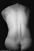 Photographs of a few more nudes link