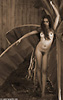 Photographs of Teressa Link