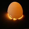 Egg abstract #3735