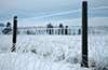Ice covered fence, Missoula, MT