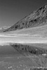 DV_3950_Bad_W_web_bw.jpg