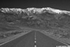 DV_3979_BW_Web.jpg