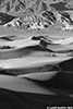 DV_4144_Dunes_web_bw.jpg