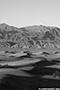 DV_4146_Dunes_web_bw.jpg