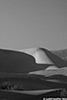 DV_4148_Dunes_web_bw.jpg