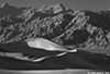 DV_4152_Dunes_web_bw.jpg