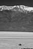 DV_4159_Bad_W_web_bw.jpg