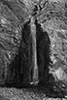 DV_4202_Willow_web_bw.jpg