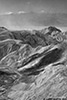 DV_4404_ZP_web_bw.jpg