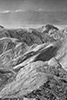 DV_4405_ZP_web_bw.jpg
