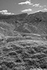 DV_4428_ZP_web_bw.jpg