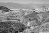 DV_4429_ZP_web_bw.jpg