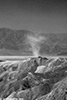 DV_4435_ZP_web_bw.jpg