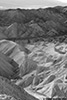 DV_4507_ZP_web_bw.jpg
