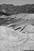 DV_4538_ZP_web_bw.jpg