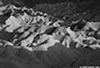 DV_4565_ZP_web_bw.jpg