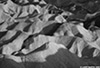 DV_4567_ZP_web_bw.jpg