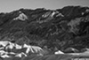 DV_4572_ZP_web_bw.jpg