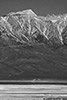 DV_4604_Whitney_web_bw.jpg