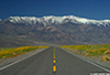 DV_3980_Road_web.jpg