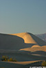 DV_4148_Dunes_web.jpg