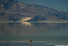 DV_4220_Manley_web.jpg