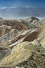 DV_4405_ZP_web.jpg