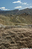 DV_4428_ZP_web.jpg