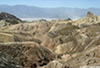 DV_4429_ZP_web.jpg