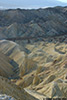 DV_4507_ZP_web.jpg