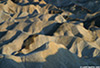 DV_4567_ZP_web.jpg
