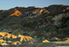 DV_4572_ZP_web.jpg