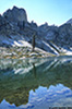 sequoia_08_web.jpg