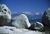 sequoia_18_web.jpg