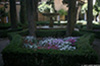 Alhambra_7478_web.jpg