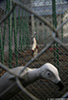Barcelona_6299_web.jpg