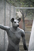 Barcelona_6310_web.jpg