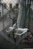 Barcelona_6311_web.jpg