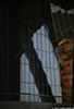 Bilbao_7148_web.jpg