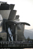 Bilbao_7193_web.jpg