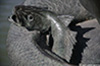 Madrid_8573_web.jpg