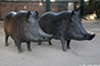 Madrid_8651_web.jpg