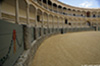 Ronda_7695_web.jpg