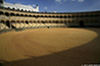 Ronda_7699_web.jpg