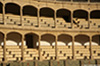 Ronda_7867_web.jpg