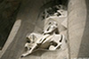 Sagrada_5160_web.jpg