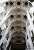 Sagrada_5205_web.jpg